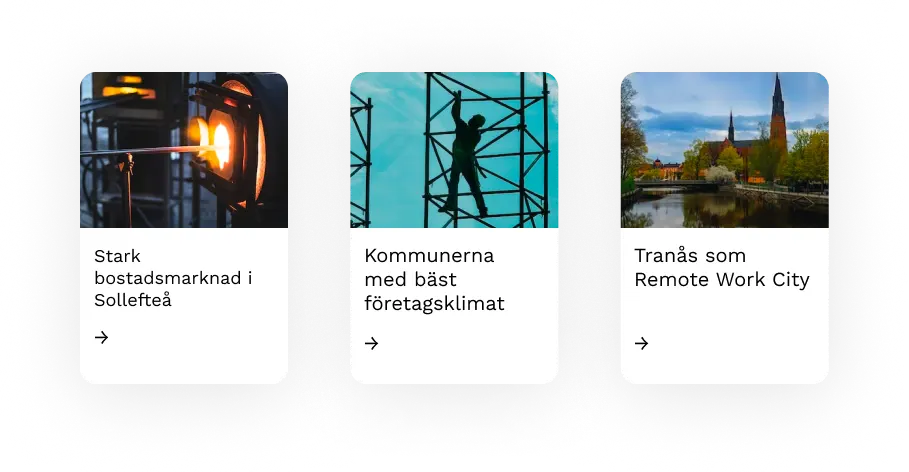 Nyhetsartiklar